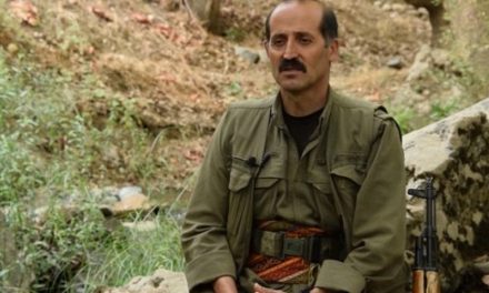 Engîn: Cejna Vejînê Kurd bi ser xwe ve anî