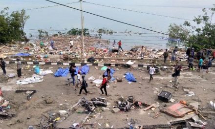Li Endonezyayê erdhej û tsûnamî: Herî kêm 48 kes mirin