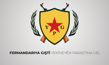 YPG‘ê salvagera rizgarkirina bajarê Reqayê pîroz kir