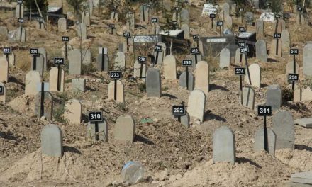 Li Meletiyê 181 cenazeyên ku nasnameya wan nehatine eşkerekirin