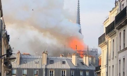Li Notre-Dameyê li katêdralê ya Parîsê şewat derket