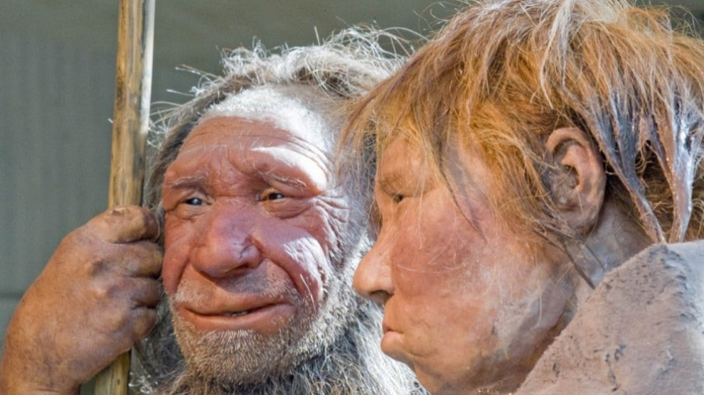 Gelo ji ber kêmbûna zayînê nifşê Neandertal tine bû?