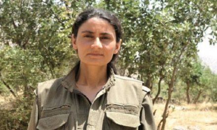 Hozat: Dijminatiya li Kurdan wê dawî li dewleta Tirk bîne