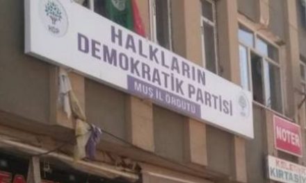 Li Mûşê avêtin ser avahiya HDP’ê