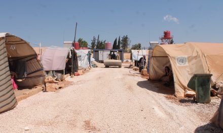 Projeyên beriya zivistanê yên Şaredariya Gel a Efrî