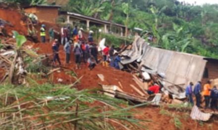 Li Kamerûnê ji ber heyelanê 43 kes mirin