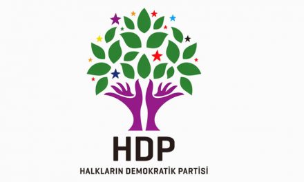 HDP: AKP naxwaze ku em piştgiriyê bidin Xarpêtê