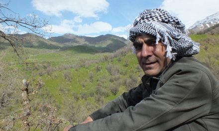 PKK’ê Dijwar Botan bi bîr anî