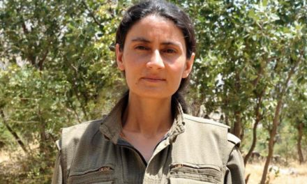 Hozat: Tifaqa Kurd-Ereb ji bo demokratîkbûna herêmê diyarker e