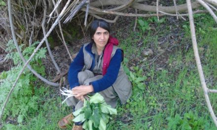 PKK’ê Avesta Fîras Herekol bi bîr anî