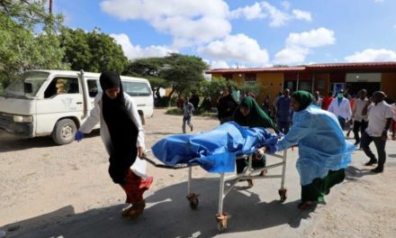 Li Somalî êrîşî mînîbusekê hate kirin: Herî kêm 10 kes mirin