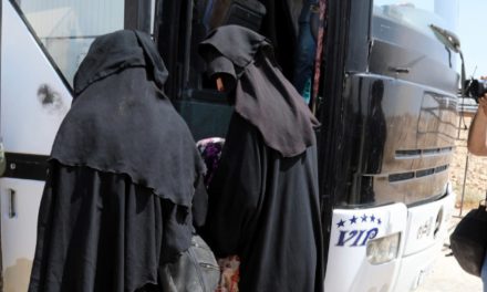 12 jin û zarokên DAÎŞ’î ji El Holê anîn Fînlandiyayê