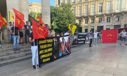 Ciwanên Kurd li Fransayê dewleta Tirk şermezar kirin