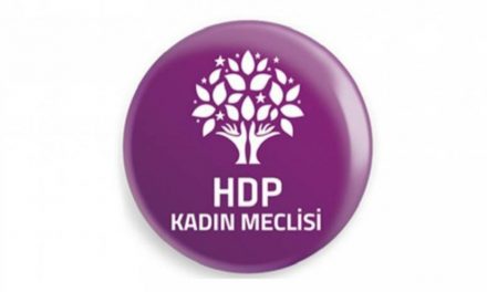 Meclîs Jinan HDP’ê: Derheqê Işik rapirsîna disîplînê dest pê kir