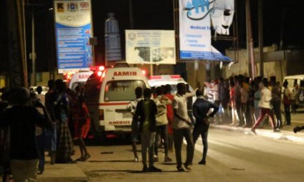 Li Somaliyê cîhadîstên Şebab êriş birin ser otelekê: 11 kes mirin