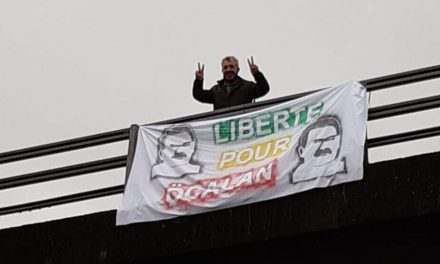 Li gelek bajaran ‘Ji bo azadiya Ocalan’ çalakî hatin lidarxistin