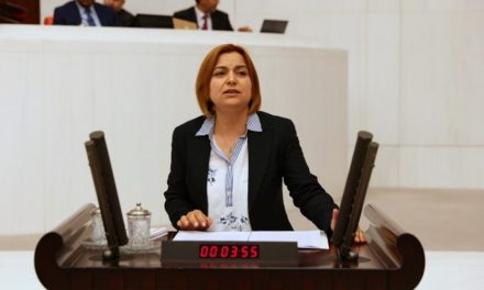 Koçyîgît: Di pergala AKP’ê de navê jinê nîne