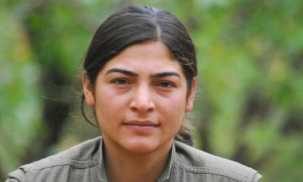 ‘PKK jiyana rasteqîn dide mirovan’