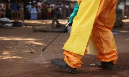 Rêxistina Tenduristiyê ya Cîhanê: Li Gîneyê ebola qediya