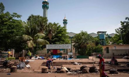 Li Maliyê ‘cîhadîstan’ zêdeyî 40 sivîl kuştin