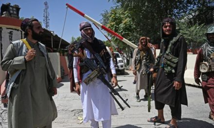 Talîban dixwaze ji bo Efganistanê artêşeke ‘mezin’ ava bike
