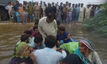 Li Pakistanê ji ber barana zêde hejmara miriyan gihişte hezarî