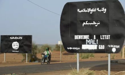 HRW: DAÎŞ’ê li Maliyê bi sedan gundî qetil kirin
