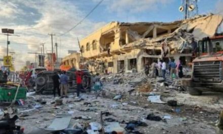 NY: Li Somaliyê ji serê salê heta bi niha 613 sivîl hatin kuştin