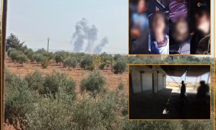 Dewleta tirk di 9 mehan de 41 zarok li Rojava kuştin