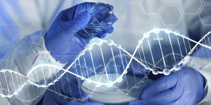 Saziya dewleta tirk ev 6 salin encama testa DNA eşkere nekiriy. Malbat ji bo cenazeyê keça xwe xwe bigire, têdikoşe