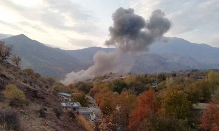 CPT: Di 3 rojan de 48 deverên Başûrê Kurdistanê hatiye bombebaran kirin.