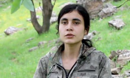 ‘Naskirina Hakî Karer naskirina PKK’ê ye’
