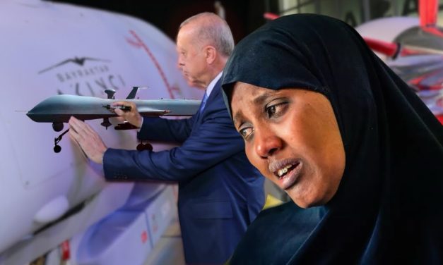 Rêxistina Efûyê: Artêşa Somalî bi dronên Tirk sivîlan qetil dike