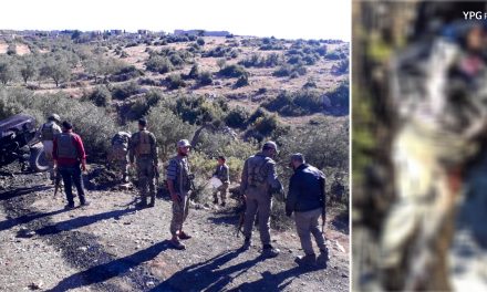 YPG: 3 Çeteyên ku Diziya Zeytûnan Dikirin Hatin Kuştin