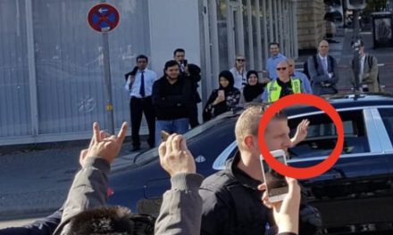 Eger Erdogan li Viyanayê işareta Rabîa bike, wê ceza lê bê birîn