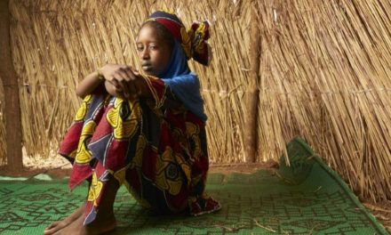 Li Malî êrîş: Bi dehan kes mirin