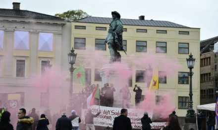 Bi hezaran kesî li Goteborg û Vaxjoyê dagirkerî protestokirin