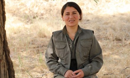 Berfîn Denîz: Berxwedana gerîla ji bo Kurdistanê tecrûbeyeke girîng e