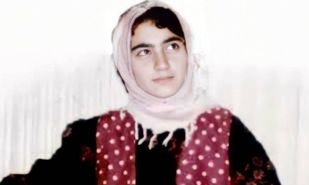 Komîteya Çand û Hunerê (TEV-ÇAND) a PKK’ê bi boneya 32’emîn salvegera Hozan Mizgîn daxuyaniyek weşand.